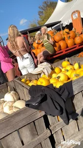 Must see! Pumpkin patch dimes!