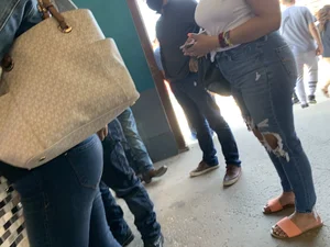 Bitch at the flea