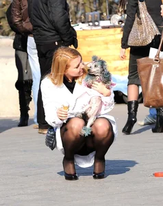 Dog lady upskirted with stockings on