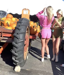 Must see! Pumpkin patch dimes!