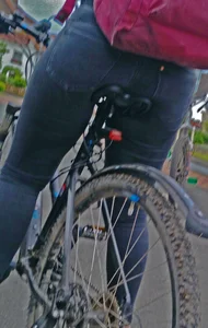 Pawg with bicycle