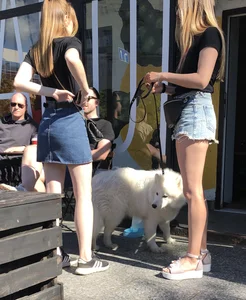 Girl in Denim Shorts with Amazing Hot Legs Fixing Her Sandals Street Candid Photo Gallery