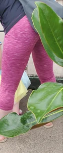 Milf shopping with a nice ass in tight maroon leggings
