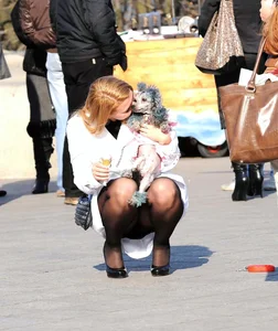 Dog lady upskirted with stockings on
