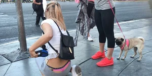 Whale tail