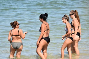 Sexy group of girls on the beach in various sizes