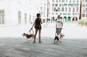 Girl in Shorts Walking Her Dog Street Photo