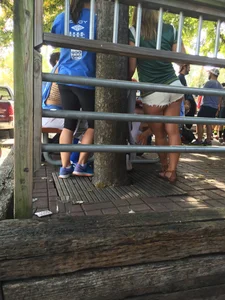 Girls in Shorts And Tights  Outdoors Creepshots