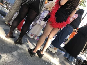Carnival girls wearing pantyhose, spandex shorts, stockings, skirts and other outfits
