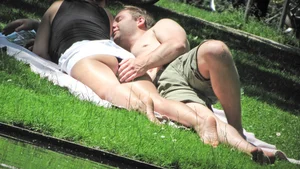 Bunch of sexy girls upskirted at parks showing their panties and asses