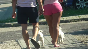 Thick booty babe walking her dogs in pink shorts