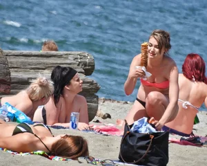 Group of sexy girls in bikinis at the beach