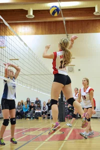 Sexy volleyball girls