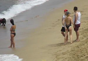 Taking a walk on the beach