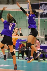 Thai candid volleyball girls
