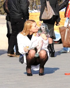 Dog lady upskirted with stockings on