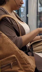 Busty Mother on the train
