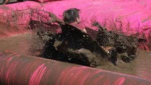 Bristol Pretty Muddy 5k race girls 2018