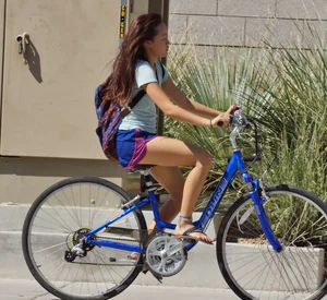 Riding Bikes in Summer