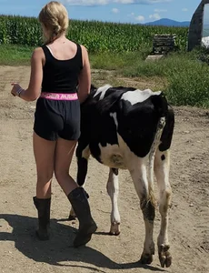 Very cute non-candid blonde teen with a cow
