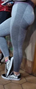 Grey Gym shark