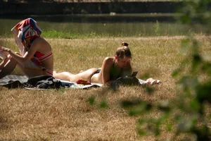 Creepshots of some girls in the park getting some sun in bikinis