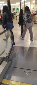 2 Giant Asses