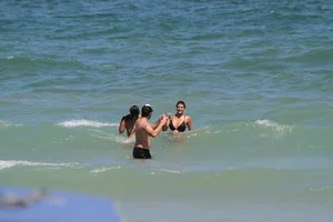 Collection of milfs in bikinis on the beach