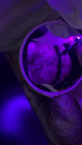 Girl in a Top with a Tattooed Belly Hot Mirror Selfie Video