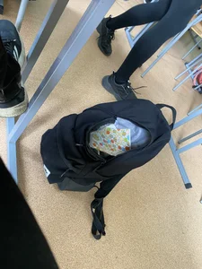 Beautiful school girl’s legs