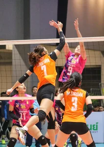 Thai candid volleyball girls