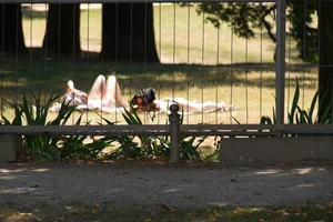 Creepshots of some girls in the park getting some sun in bikinis