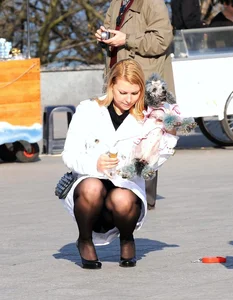 Dog lady upskirted with stockings on