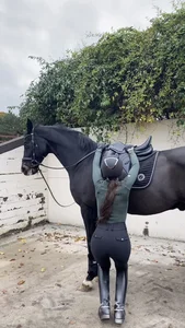 Equestrian