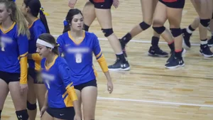 Pretty and sexy brunette college girl in spandex shorts playing volleyball