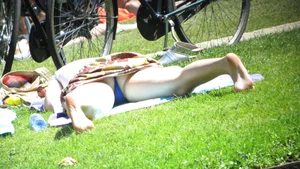 Bunch of sexy girls upskirted at parks showing their panties and asses