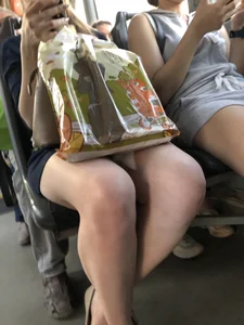 Hot Legs of a Stocky Girl in a Skirt Sitting in a Bus Creepshot Closeup