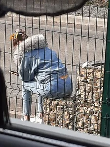 Girl in Tight Jeans Sitting on the Traffic Barrier in Tight Jeans