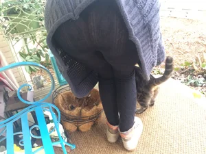 Girl in Black Tights And a Sweater Bending Over, VPL Backyard Creepshot
