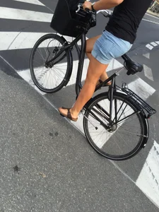 Bicycle bonanza