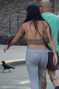 braless birds