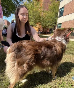 Busty chubby college girl at a dog park