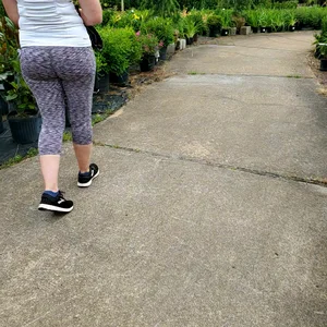 Milf booty in tight leggings shopping for plants