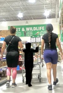 Fine round booty Latina’s in leggings with vpl