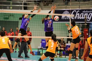 Thai candid volleyball girls