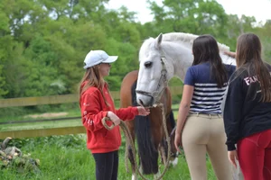 teen horse girls