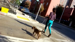 Sexy girl in teal spandex walking her dog