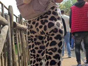 Tight leopard legging in themepark queue