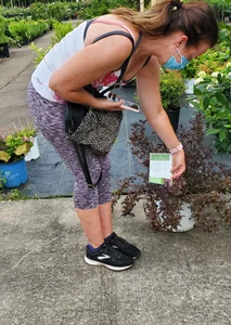Milf booty in tight leggings shopping for plants