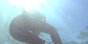 Bikini babe filmed underwater and washing off in sexy little bikini